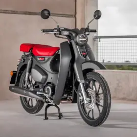 Honda Super Cub C125 2026 – Bild 2